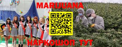 марки lsd Лесосибирск