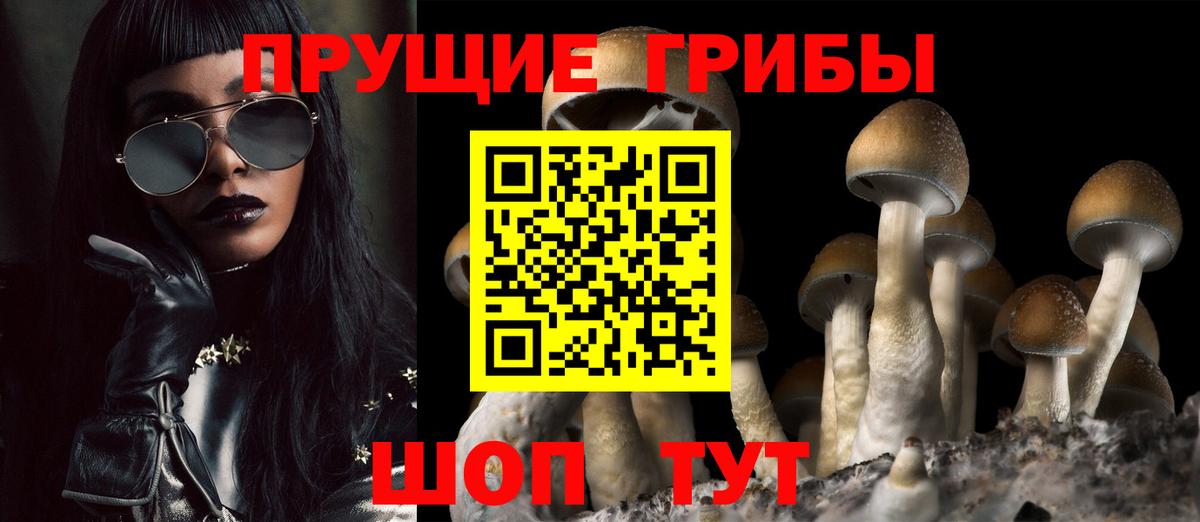 Галлюциногенные грибы GOLDEN TEACHER  что такое   Элиста  Вход с VPN 