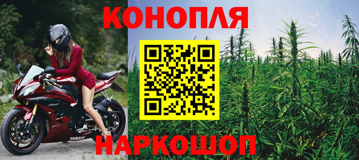 Элиста  Марихуана тримм  Бошки Шишки план  МАРИХУАНА тримм  Бошки марихуана VHQ  Вход с VPN 